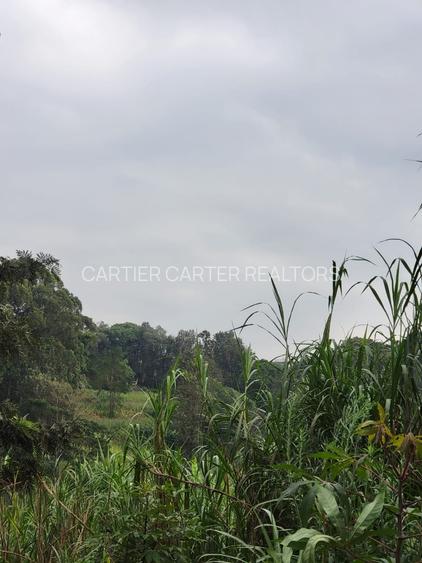4 ac Land in Kitisuru