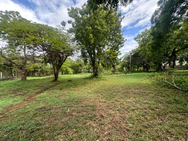 2.5 ac Land at Pangoni 2.5 ac Land at Pangoni