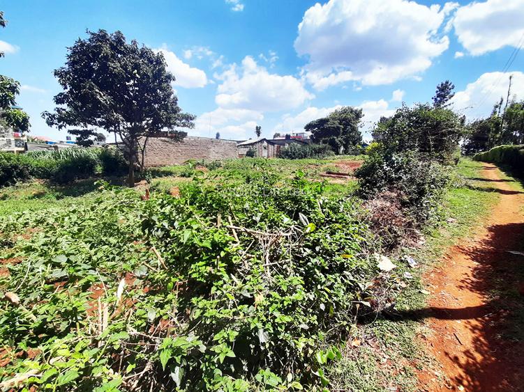 Land in Ruaka