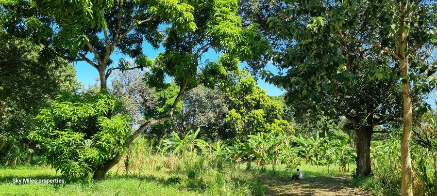 25 ac Land at Mtwapa