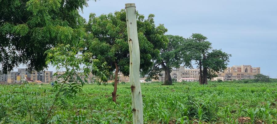 5 ac Land at Vipingo