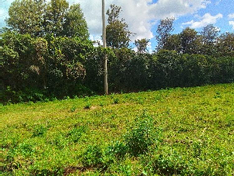 Land in Kikuyu Town Land in Kikuyu Town