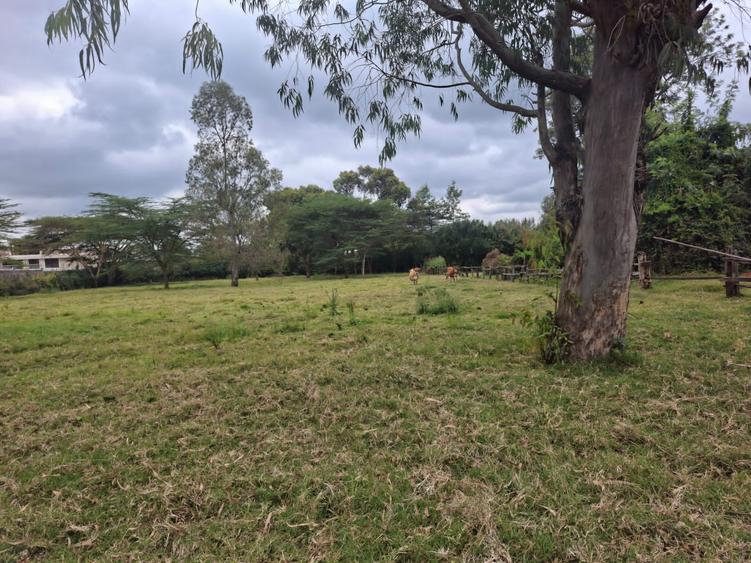 1 ac Residential Land at Kumbe Road - Widok 2