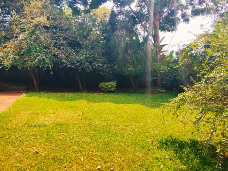 4 Bed Villa with En Suite in Rosslyn - Aanzicht 2