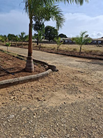 Land at Mtwapa - Widok 2