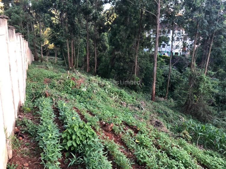 1.7 ac Land at Peponi Road