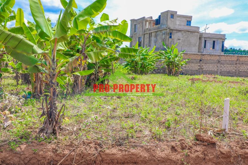 0.05 ha Residential Land at Lusingeti