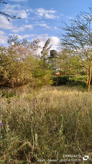 Land at Mukoma Road