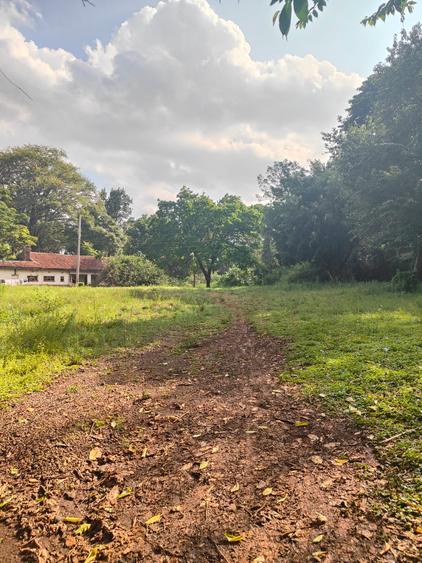 Residential Land at Spring Valley