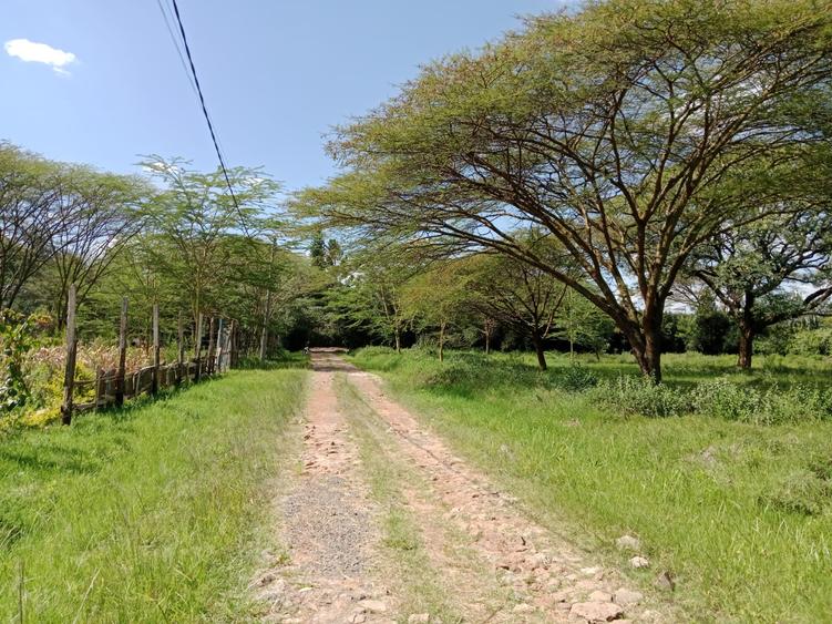 Land at Roysambu