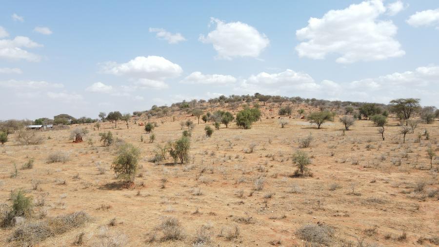 0.25 ac Land at Amboseli Road – pohled 4