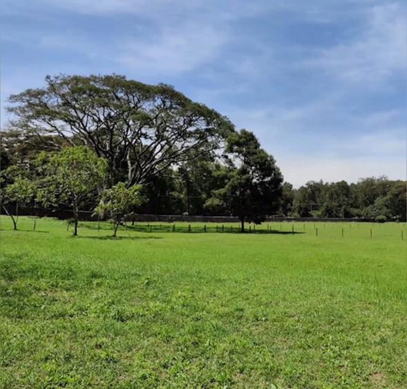 Residential Land in Karen