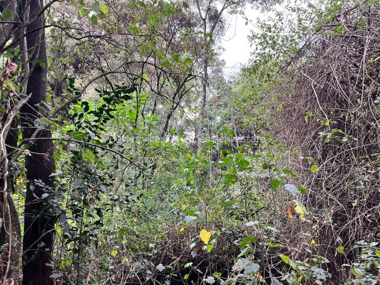 Commercial Land at Karen