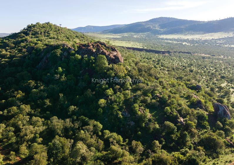 30.3 ac Land at Lolldaiga Valley