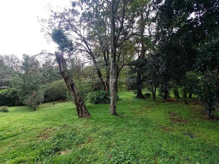 Land at Lavington
