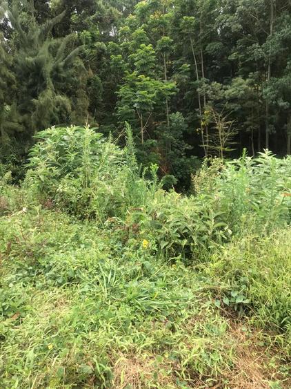 Residential Land in Kitisuru