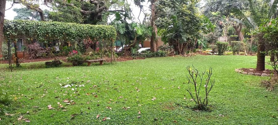 1.5 ac Land in Lavington