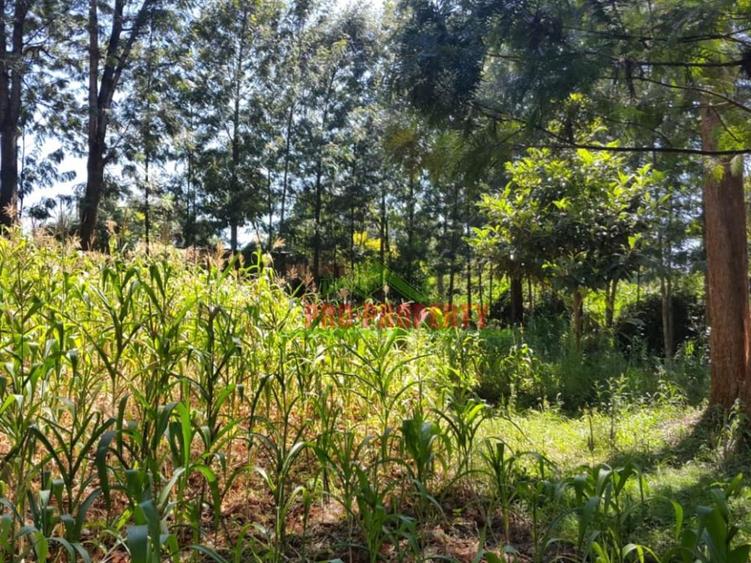 1,000 m² Residential Land in Kikuyu Town