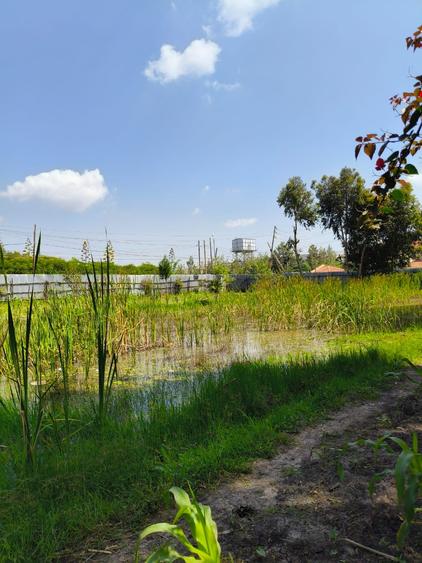 Residential Land at Karen