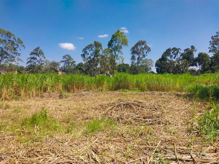 0.5 ac Land in Ridgeways 0.5 ac Land in Ridgeways
