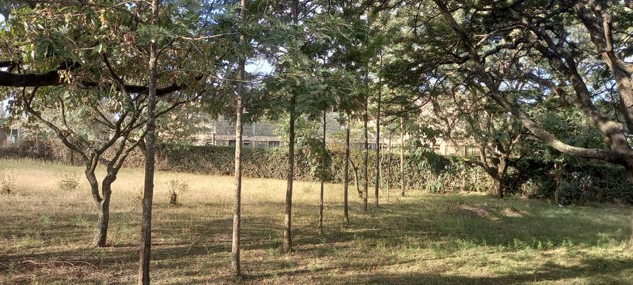 1 ac Land at Kandisi