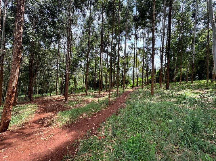 Land in Uthiru Land in Uthiru