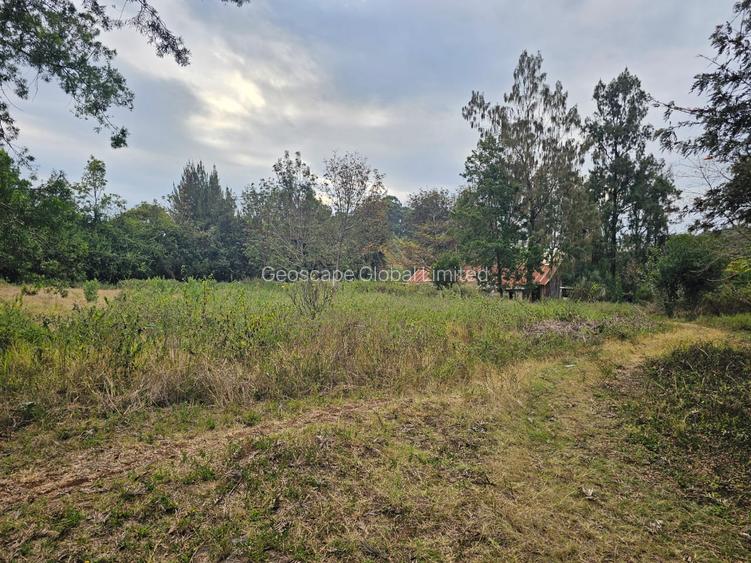 Residential Land in Karen