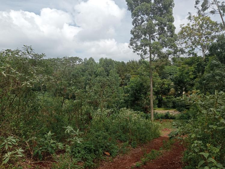 Residential Land in Runda