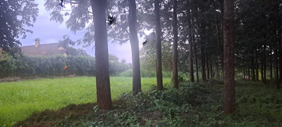 0.5 ac Land in Runda 0.5 ac Land in Runda