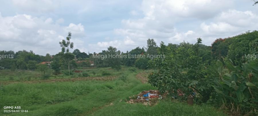 2 ac Land in Runda
