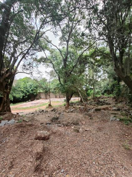 Residential Land at Hardy