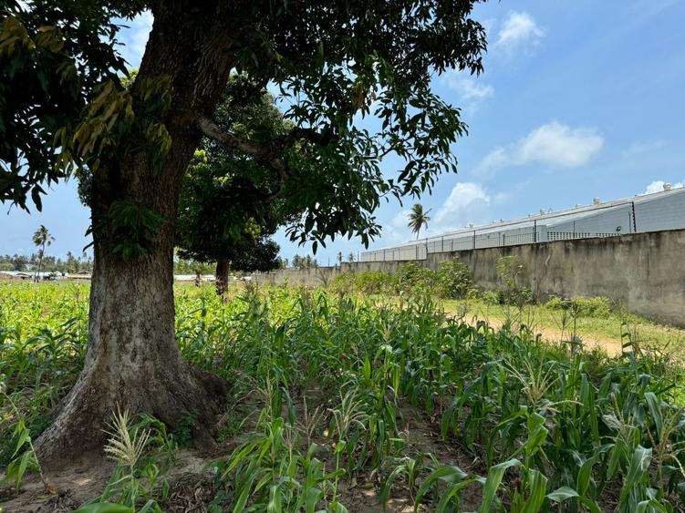 Land in Mtwapa Land in Mtwapa
