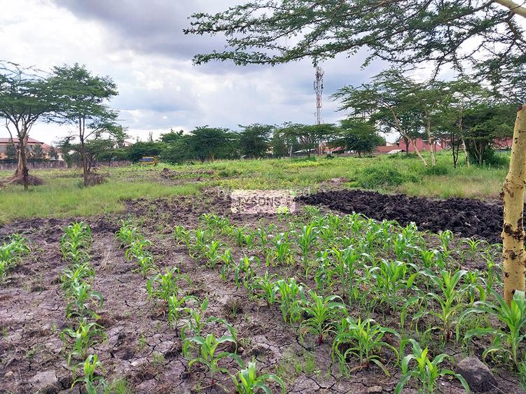 5 ac Commercial Land in South B