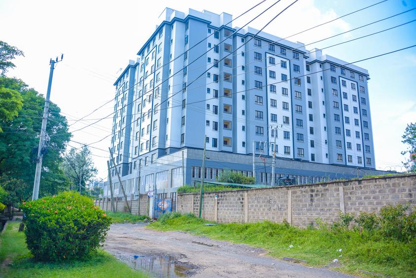 1 Bed Apartment with En Suite at Jamhuri Crescent