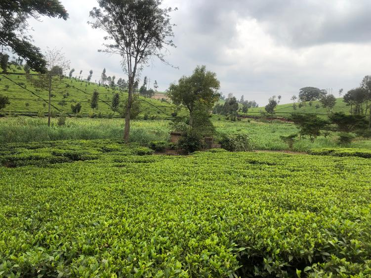 Residential Land in Redhill