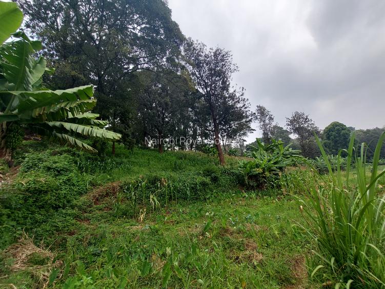 Residential Land at Kitisuru Ridge 44