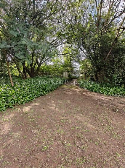5 ac Land in Karen