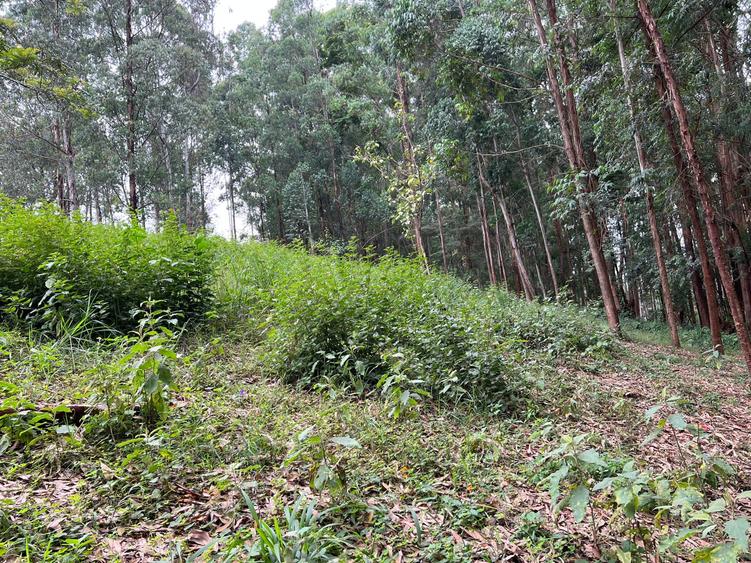 Residential Land at Nyari Estate