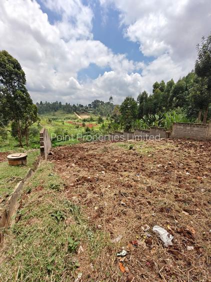 0.125 ac Land in Ruaka