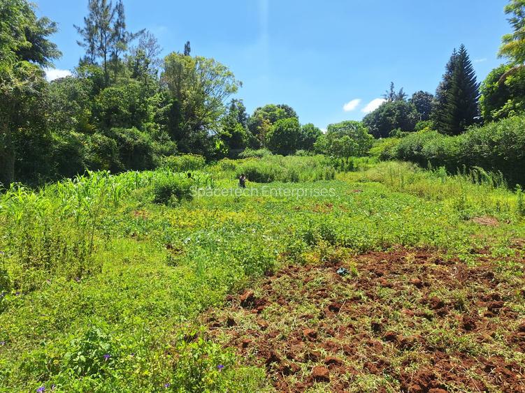 Residential Land in Runda