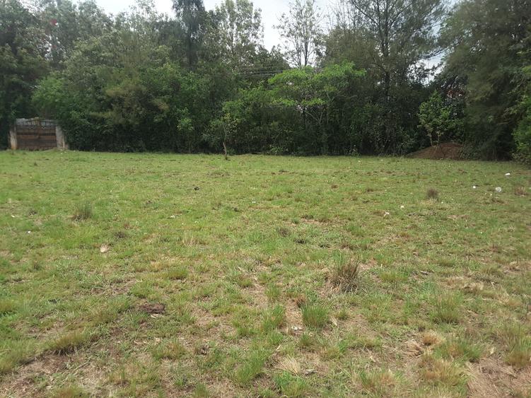 0.5 ac Residential Land in Karen