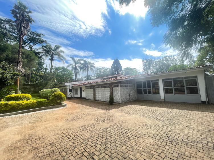 Commercial Property with Fibre Internet at Lavington