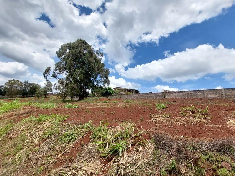 Residential Land at Rosslyn Valley