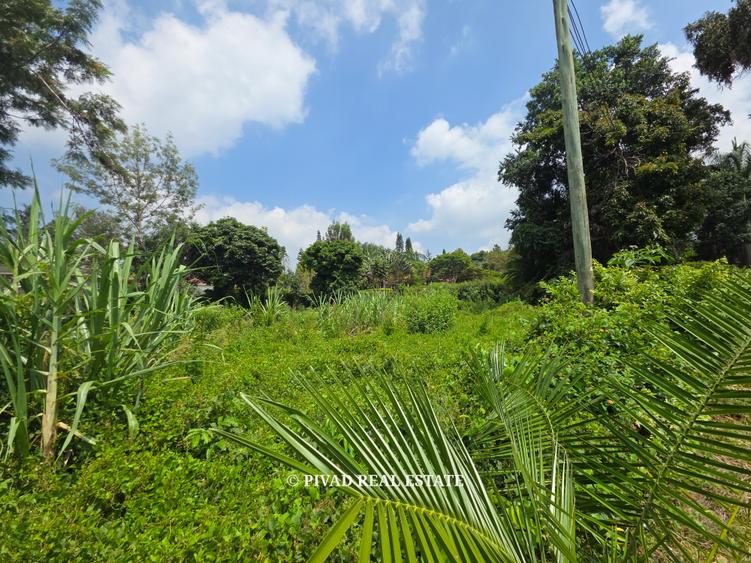 0.5 ac Land at Muthithi Gardens – pohled 3
