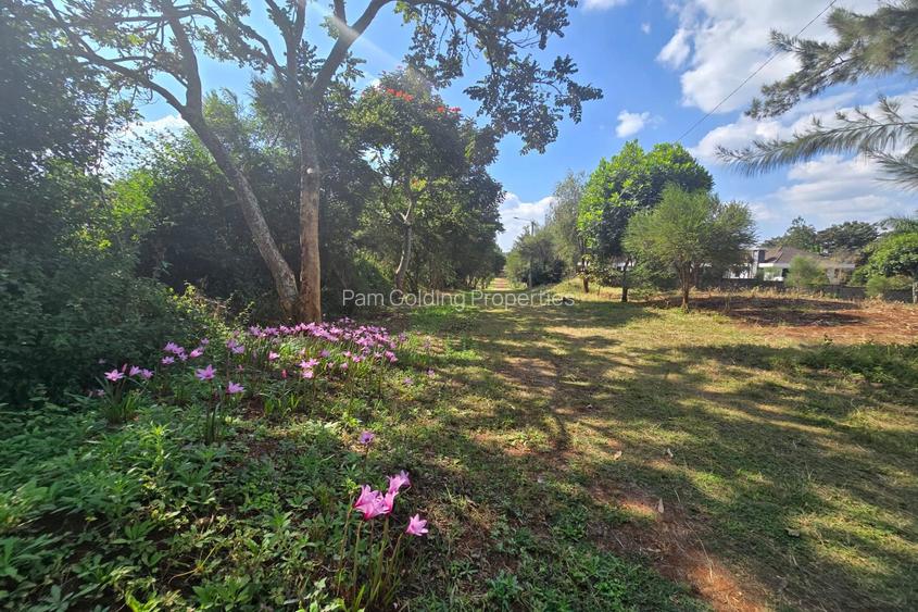 0.5 ac Residential Land in Runda