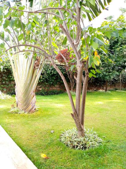 Furnished 2 Bed Apartment with En Suite at Kilimani Furnished 2 Bed Apartment with En Suite at Kilimani