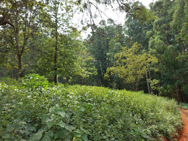 Residential Land at Rosslyn Redhill Road