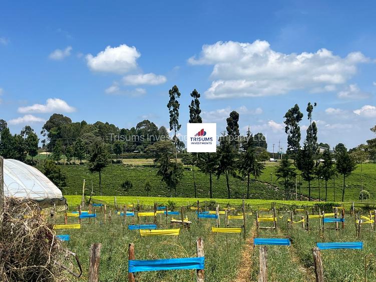 16.5 ac Land in Tigoni