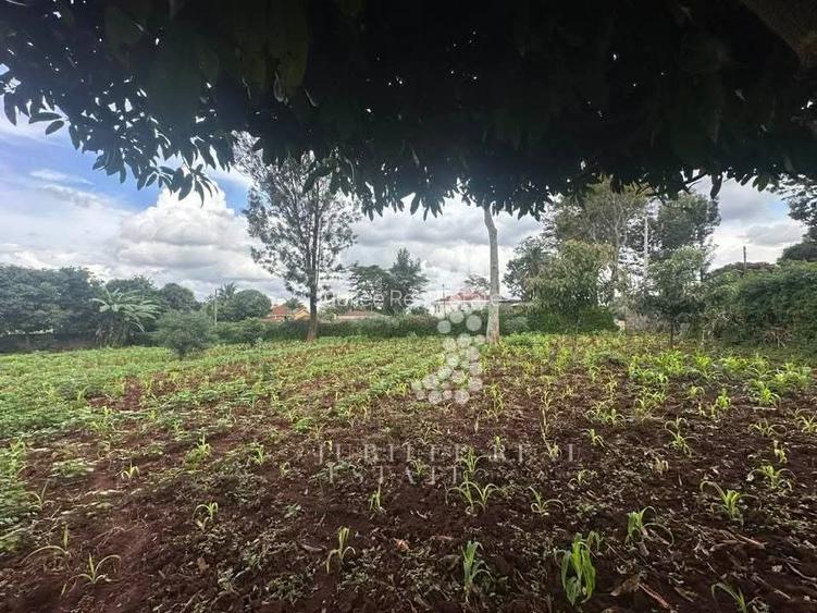 0.5 ac Land in Runda