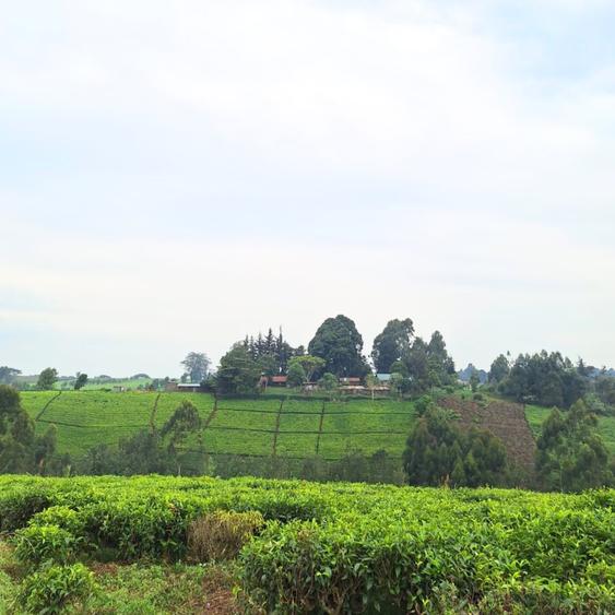 1 ac Residential Land at Riara Ridge